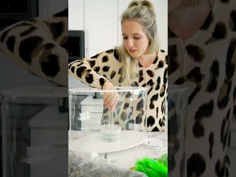 Aquariums for Busy People