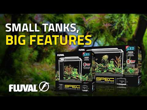 YOUR FIRST AQUARIUM, DONE RIGHT | Fluval Spec Series