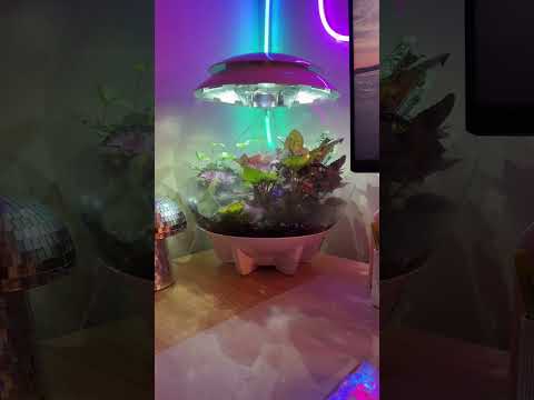 When you look forward to work..