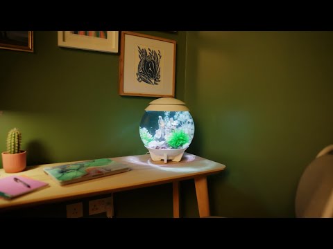 biOrb HALO ⎸ Aquarium Product Overview