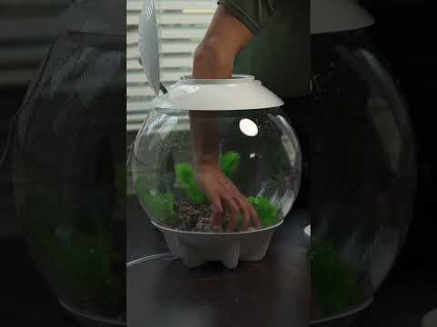 Magic and Wonder, Every Day ✨