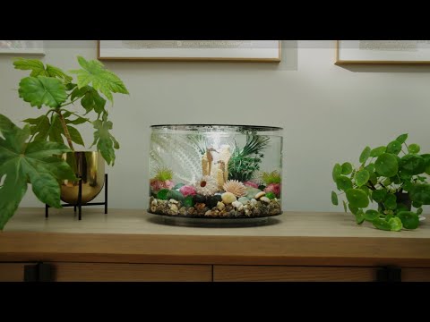 biOrb LOOP ⎸ Aquarium Product Overview