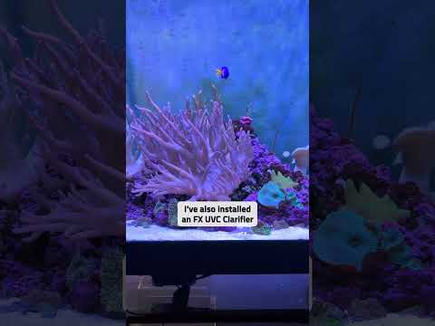 DEALING WITH DINOS 😩 (Pt. 3)