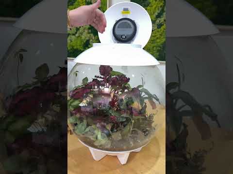 2026 reset mentality ✂️🌱