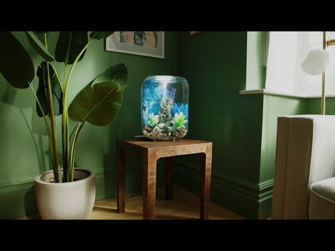 biOrb LIFE ⎸ Aquarium Product Overview