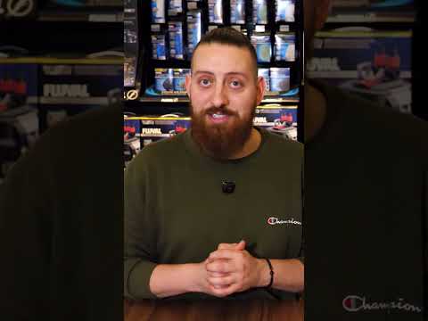 FLUVAL SPEC | Small Tanks, Big Features 🔥 #shorts