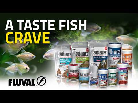 LOVE AT FIRST BITE | Why Ingredient Quality Matters in Fish Food