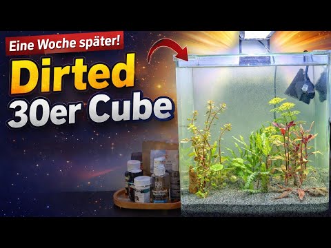 “Dirted” 30er Cube nach einer Woche | 02