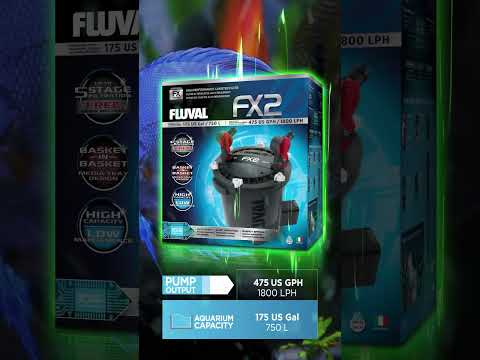 THE KING OF AQUARIUM FILTRATION | Fluval FX #shorts