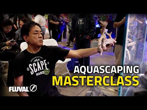 Amateur Aquascapers Get a Once-in-a-Lifetime Q&A With a Japanese Master