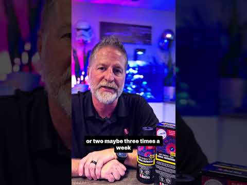 Did you know that corals don’t really store energy?