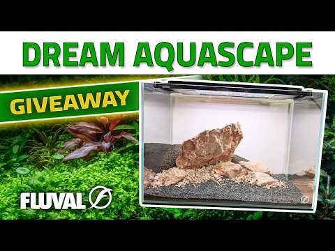WIN YOUR DREAM AQUASCAPE 🌿 Fluval Aquarium Kit Giveaway