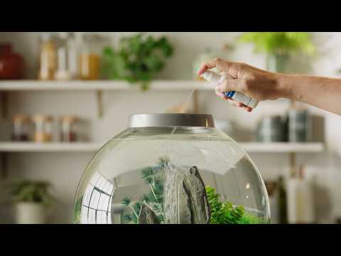 Aquarium How-to ⎸ Maintaining Your biOrb