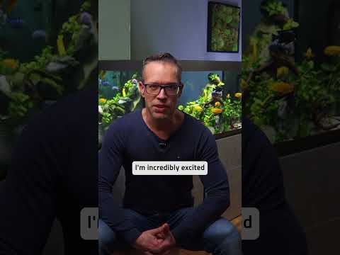 FLUVAL X GEORGE FARMER