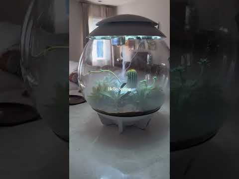 Inspired by spring & always in bloom 🌿🌸