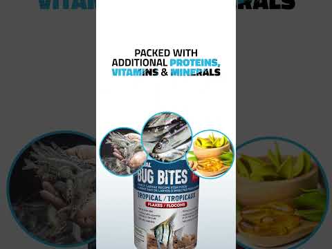 FLUVAL BUG BITES – A Complete Diet for Fish 🐟 #shorts