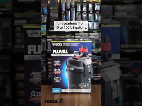 07 SERIES | Canister Filters for Crystal Clear Aquariums ✨ #shorts