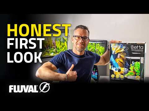 Is This the Perfect Betta Tank? Full Setup & Review by George Farmer