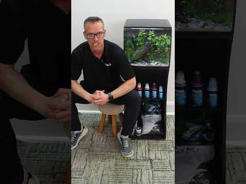 The Smart Way to Start Fishkeeping | Fluval Flex 2.0 #shorts