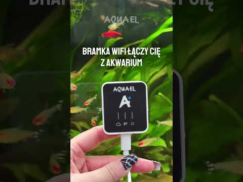 Steruj akwarium z dowolnego miejsca na świecie!