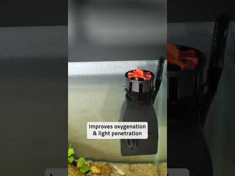 Compact, Powerful, Efficient | Fluval SK400 Surface Skimmer #shorts