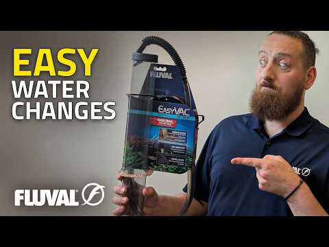 New to Fishkeeping? Aquarium Maintenance 101