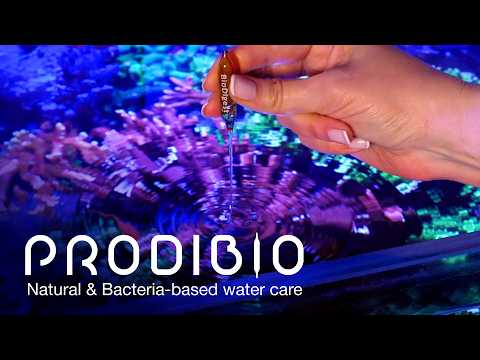 Red Sea presents: the Prodibio essentials