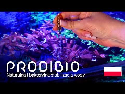 Red Sea przedstawia: produkty Prodibio