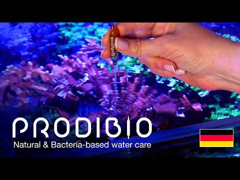Red Sea präsentiert: Die Prodibio-Essentials