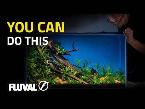 Aquascaping Tips for Beginners | George Farmer’s Complete Setup Guide