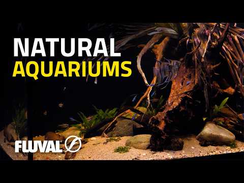 Escape into Nature | Relaxing Fluval Siena Cinematic Aquascapes