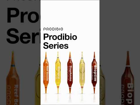Meet the Prodibio range