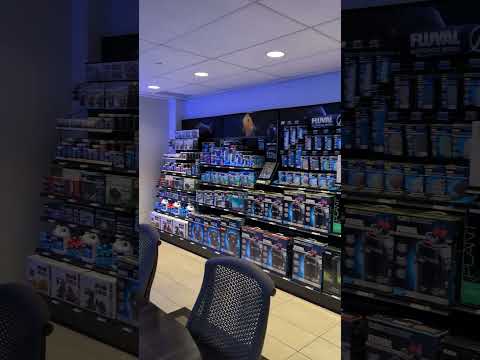 Fluval Fish Room Tour! 😲 #shorts