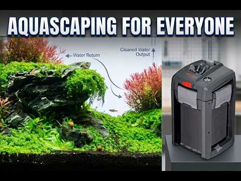 Aquascaping Ideas, Planted Tanks & Fishkeeping All in One Place