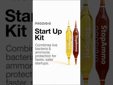 Meet the Start Up kit