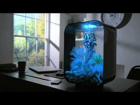 Aquariums for every desk ⎸ biOrb