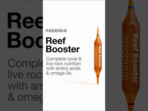 Meet the Reef Booster