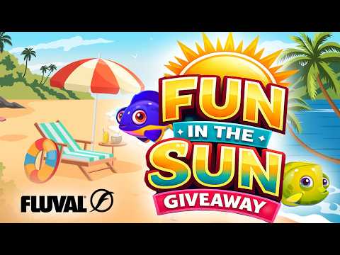 Fluval Fun in the Sun Giveaway ☀️ WIN A PLANT PRO LED!