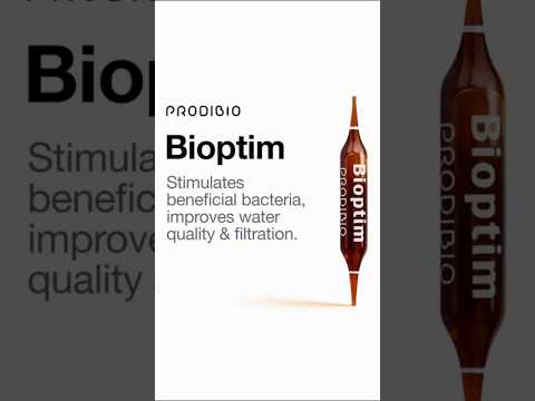 Meet Bioptim