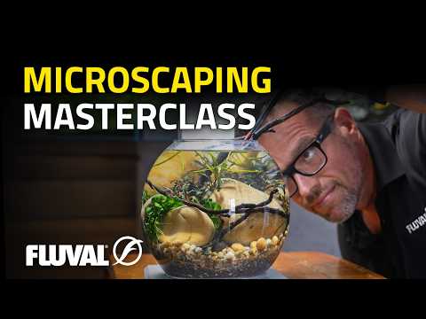 George Farmer Sets Up a Stunning Liv Aquarium Kit