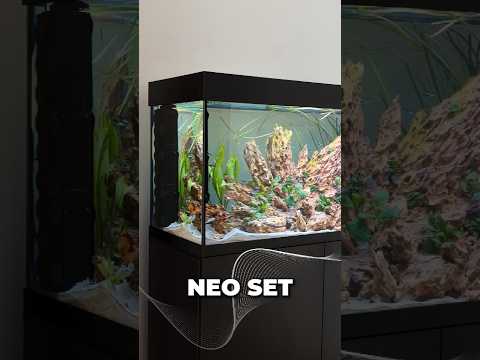 NEO SET | Zestaw gotowy na start 🐠