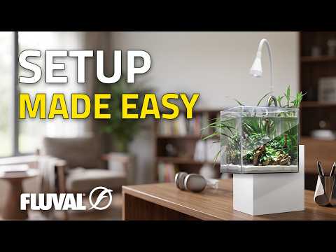 How to Set Up the Fluval Kühl Aquarium Kit (Complete Guide)