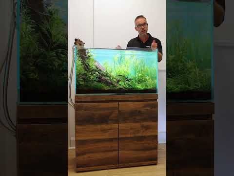 George Farmer’s Fluval 90P Aquascape 🔥 #shorts