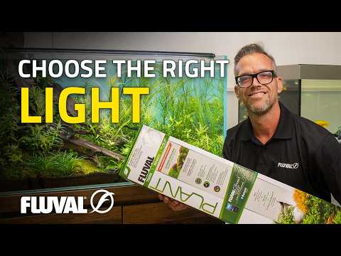 Fluval Plant 4.0 vs Plant Pro | George Farmer’s Complete LED Guide