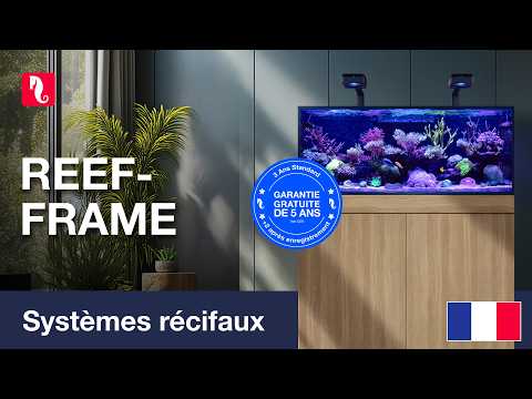 Les élégants REEF-FRAME