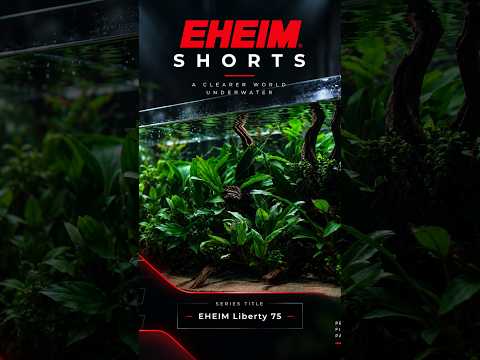 Best small aquarium filter