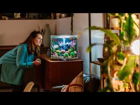 Embrace the cozy season, add wonder ⎸ biOrb Aquariums & Terrariums