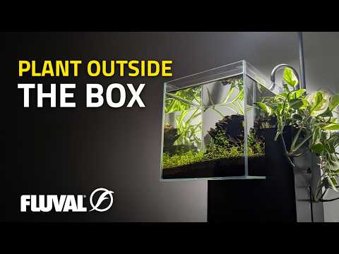 FLUVAL KÜHL | The Aquaponic Aquarium That Cleans Itself