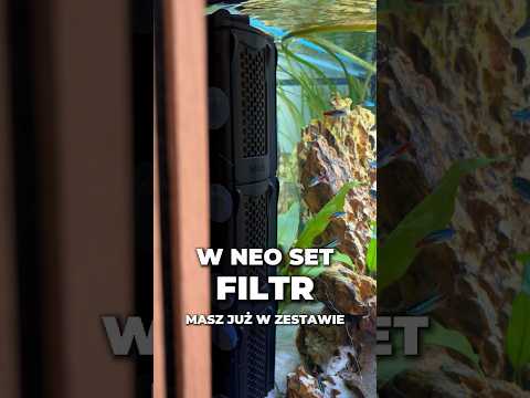 🐠 Neo Set i Neo Bio 1000 to udane kombo! 💧